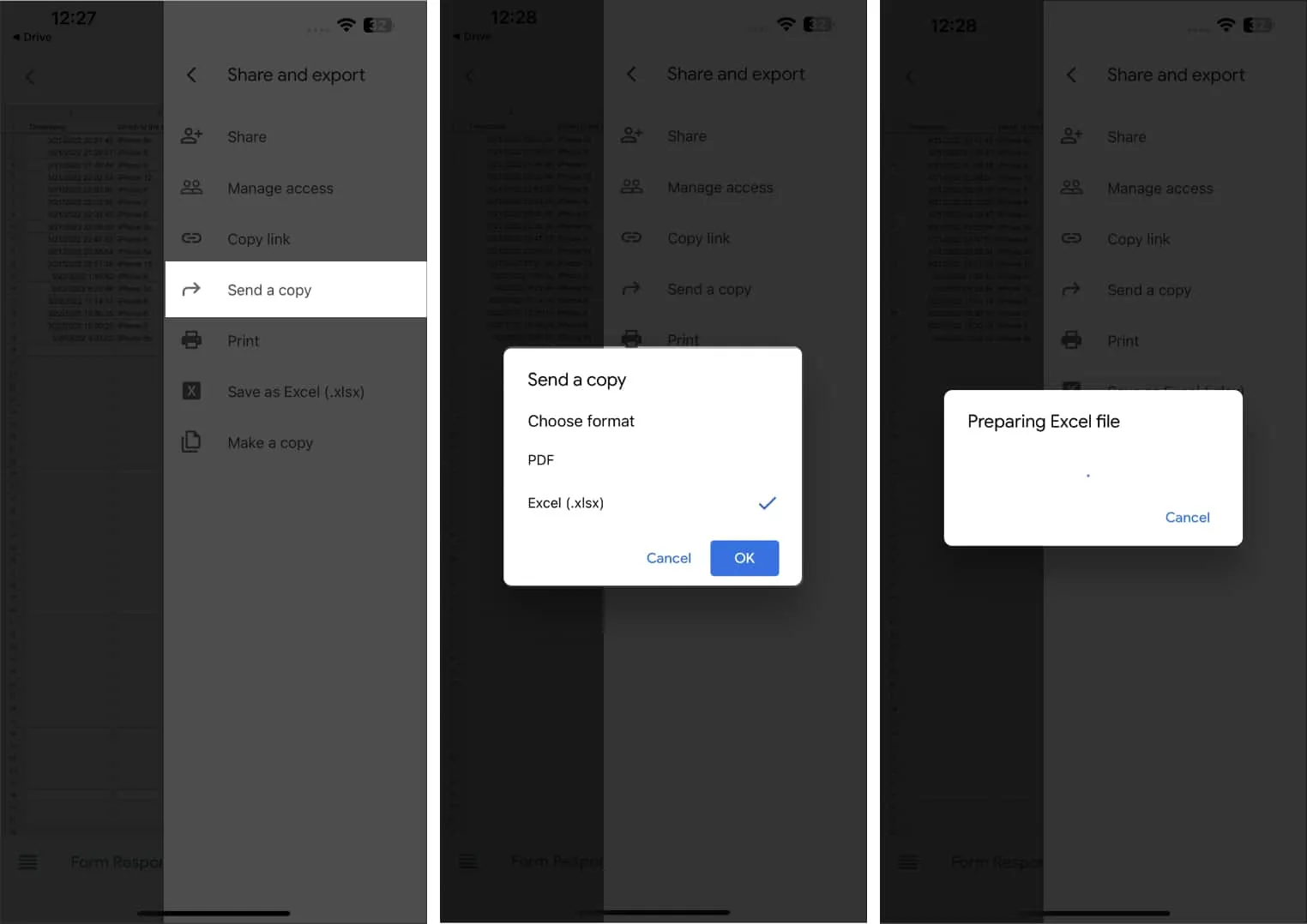 Wählen Sie das Format des Dokuments aus Google Drive auf dem iPhone