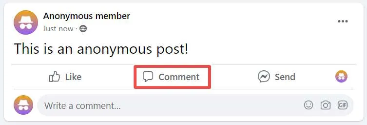 Elegir escribir un comentario anónimo en el sitio web de Facebook