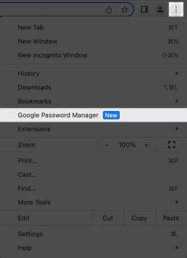 Clique no ícone de três pontos e selecione gerenciador de senhas do Google