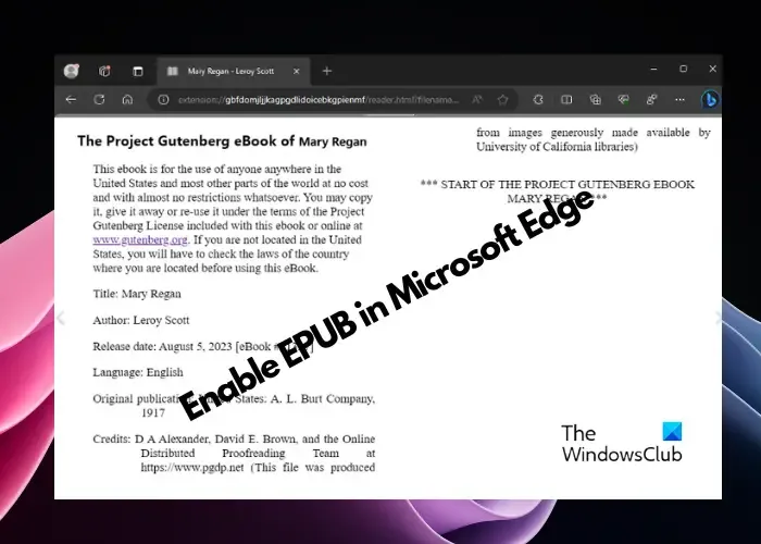 ativar EPUB no Microsoft Edge