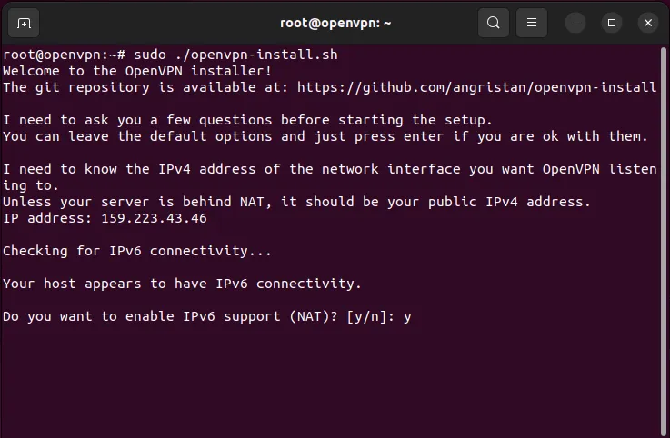Una terminal que muestra la solicitud de compatibilidad con IPv6.