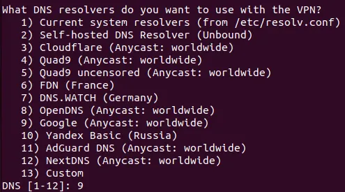 Una terminal que muestra la solicitud del solucionador de DNS predeterminado.