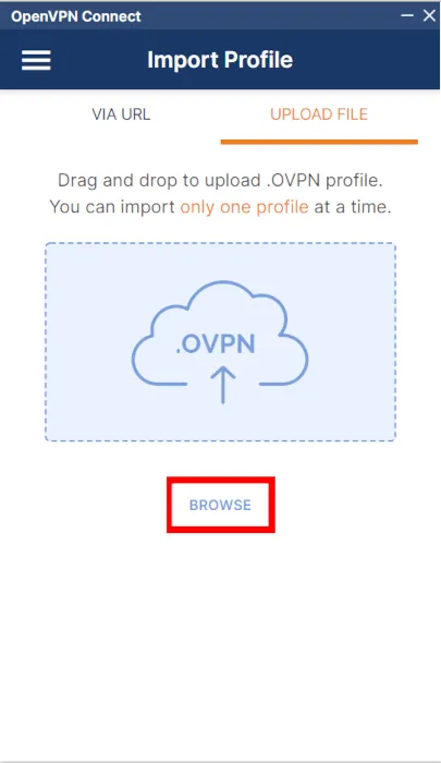 Una captura de pantalla que muestra el botón Examinar para el cliente OpenVPN.
