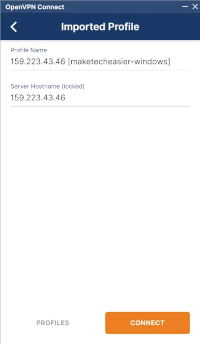 Una captura de pantalla que muestra los detalles del servidor OpenVPN.