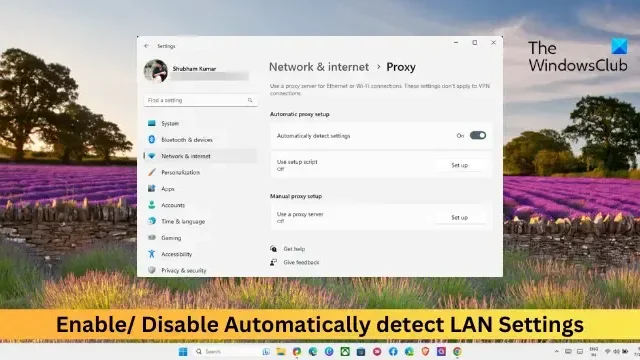 LAN-instellingen automatisch detecteren in Windows 11/10