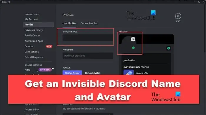 Holen Sie sich einen unsichtbaren Discord-Namen und Avatar