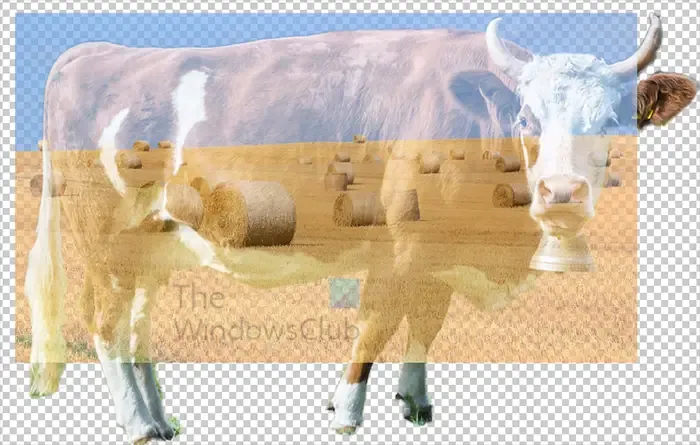 Photoshop で二重露光効果を行う方法 - スクリーンブレンドと 77 の不透明度