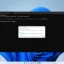 So führen Sie CHKDSK unter Windows 11 aus: Festplattenfehler finden und beheben