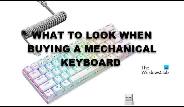 Le tastiere meccaniche sono migliori? Cosa cercare quando ne acquisti uno?