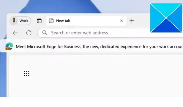 Cos’è l’icona della valigetta su Edge Browser?