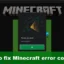 El juego se bloqueó, Código de error (0x1) en Minecraft Launcher