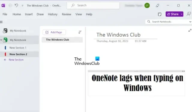 OneNote se retrasa al escribir en Windows 11/10