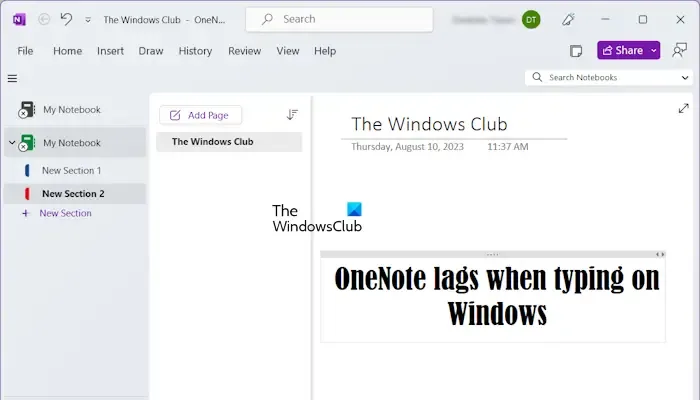OneNote で Windows を入力するときに遅れます
