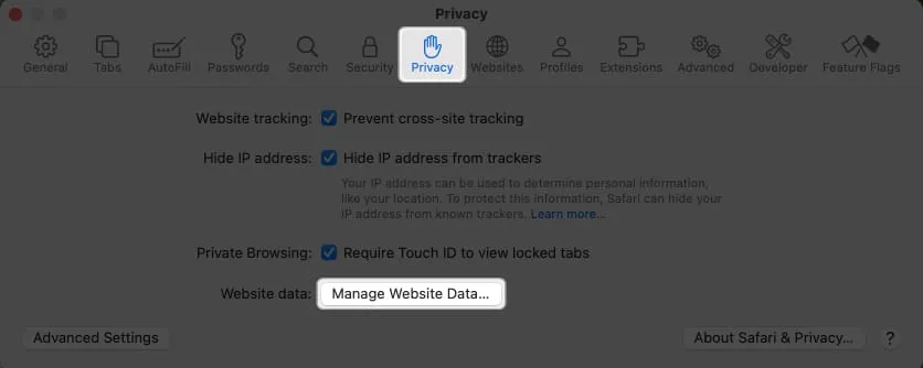 Open het tabblad Privacy en selecteer Websitegegevens beheren