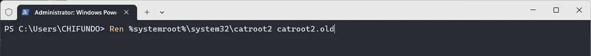 Umbenennen des Ordners „catroot2“ über PowerShell.
