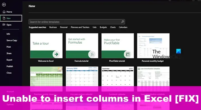 Não é possível inserir colunas no Excel [FIX]