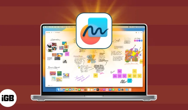 Hoe de Freeform-app op Mac te gebruiken: volledige gids