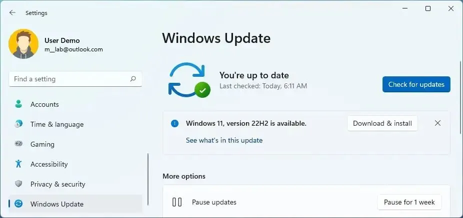 Windows Update 経由で Wi​​ndows 11 22H2 をダウンロード
