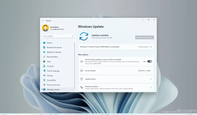 Windows 11 build 25936 sorties dans Canary Channel