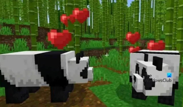 如何在《我的世界》中飼養熊貓