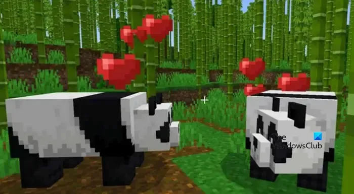 Hoe panda's te fokken in Minecraft