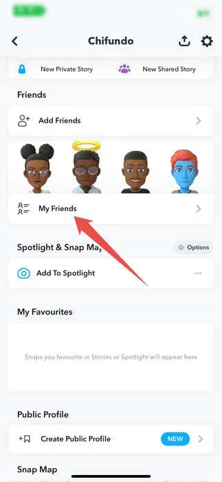 在 Snapchat 個人資料設置中選擇“我的朋友”選項