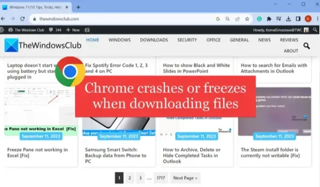 Chrome stürzt ab oder friert ein, wenn eine Datei heruntergeladen wird [Fix]