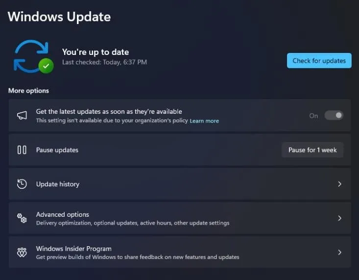 オプションの更新プログラムを有効にする Windows 11