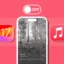 So deaktivieren Sie animierte Cover-Grafiken in Apple Music in iOS 17