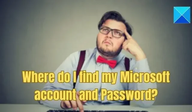 在哪裡可以找到我的 Microsoft 帳戶和密碼？