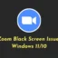 So beheben Sie das Problem mit dem schwarzen Zoom-Bildschirm unter Windows 11/10