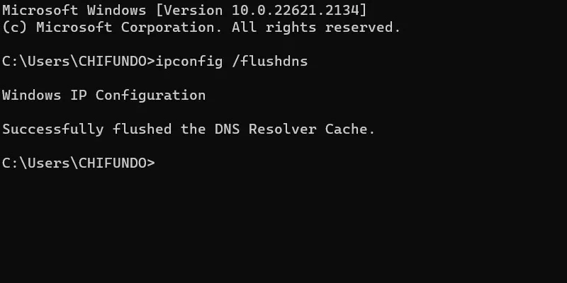 Mensagem de sucesso de liberação de DNS no prompt de comando.