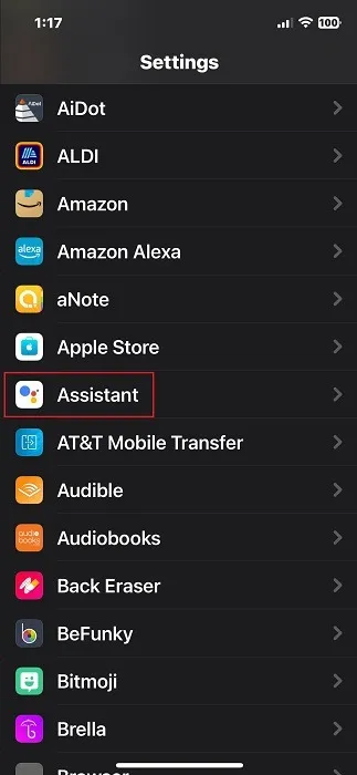 Google Assistant visível nas configurações do iPhone.