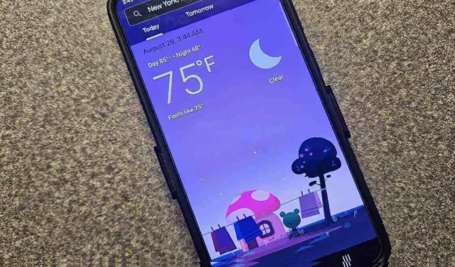 Google Weather Frog: So richten Sie es auf Ihren Geräten ein