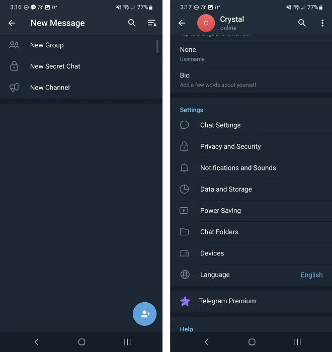 Overzicht van de Telegram-app-interface.