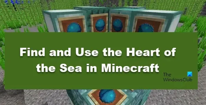 vind en gebruik Heart of the Sea in Minecraft