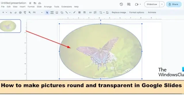 Come rendere l’immagine rotonda e trasparente in Presentazioni Google