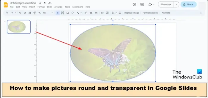 Come rendere l'immagine rotonda e trasparente in Presentazioni Google