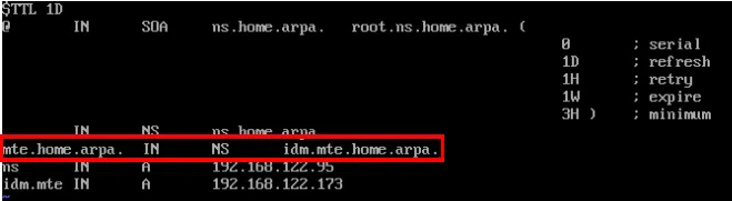 Un terminal affichant les enregistrements DNS du mte.home.arpa.  réseau.