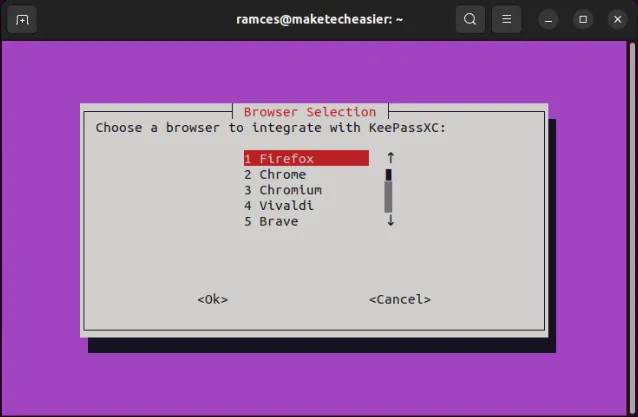 Um terminal mostrando a lista de navegadores suportados pelo KeePassXC.