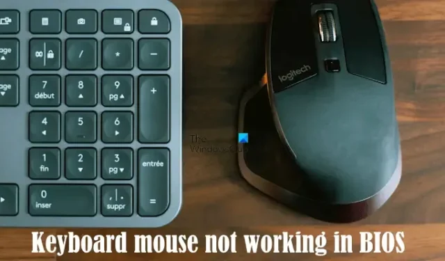 El teclado o el mouse no funcionan en BIOS en una computadora con Windows