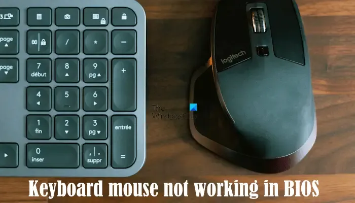 El mouse del teclado no funciona en BIOS