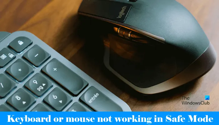 Il mouse della tastiera non funziona in modalità provvisoria