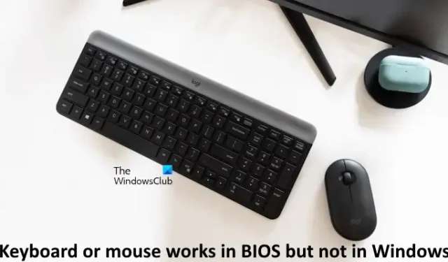 Toetsenbord of muis werkt in BIOS, maar NIET in Windows