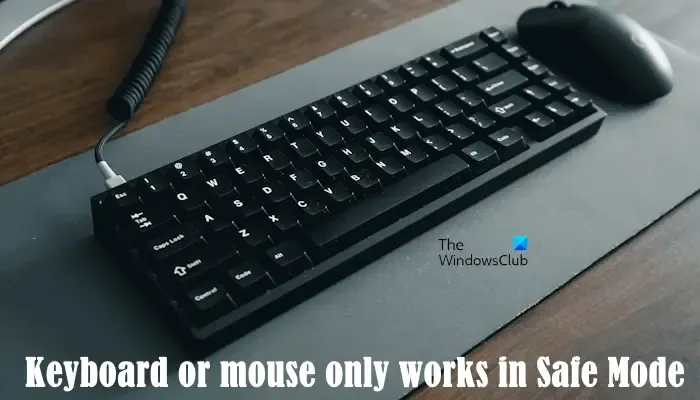El teclado o el mouse solo funcionan en modo seguro
