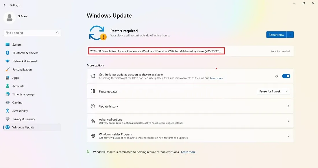 KB5029351, ein Update vom 22. August, das unter Windows 11 installiert wird.