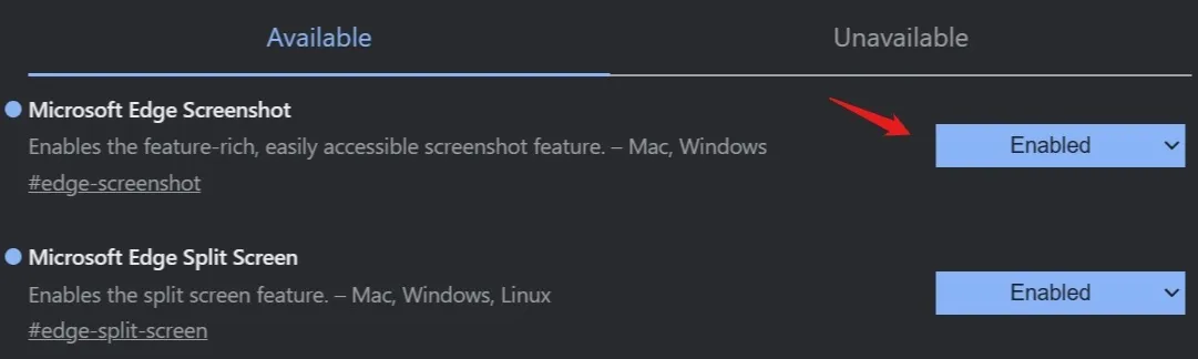Outil de capture d'écran Microsoft Edge