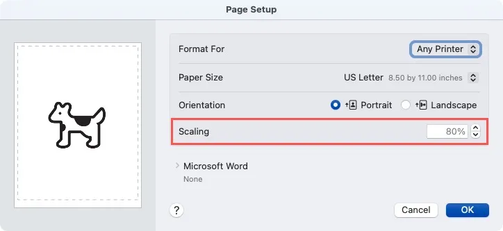 Opción de escala de configuración de página en Word en Mac
