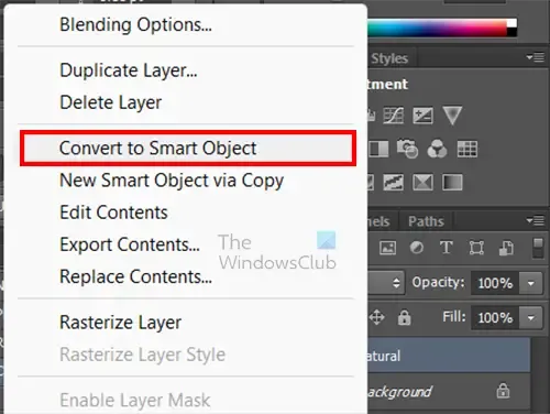 Photoshop-Plugins – in Smart Object konvertieren