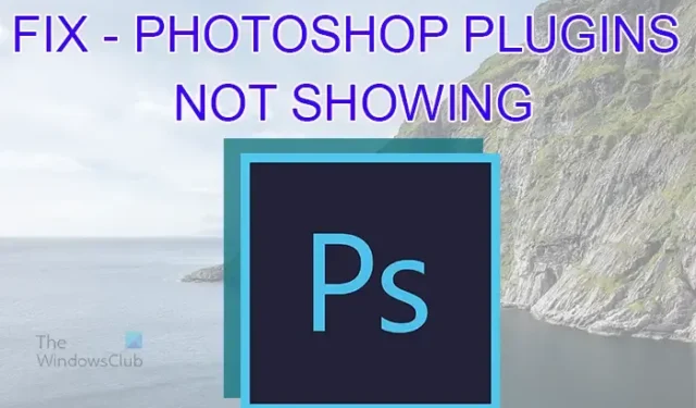 Correction des plugins Photoshop qui ne s’affichent pas
